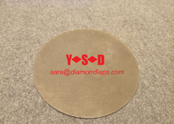 dry diamond polishing disc for glass Magnetic backed Electroplated supplier
